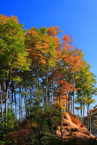 深圳男篮遭遇连败，失利于广州队