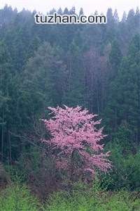 贝蒂斯抢占先机，成功反客为主