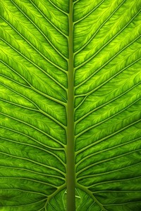 深圳男篮遭遇连败，失利于广州队