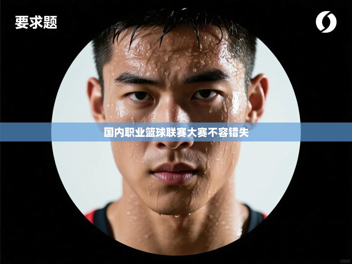 国内职业篮球联赛大赛不容错失
