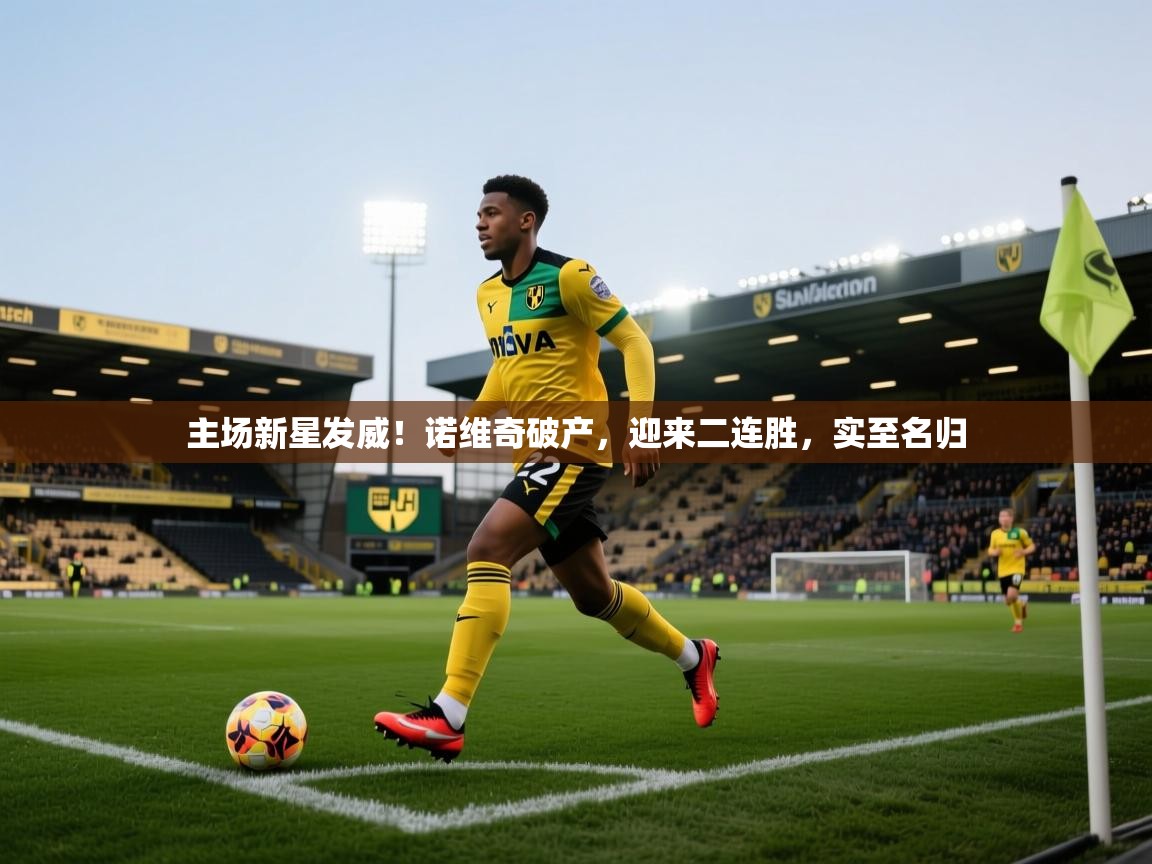 主场新星发威！诺维奇破产，迎来二连胜，实至名归  第2张