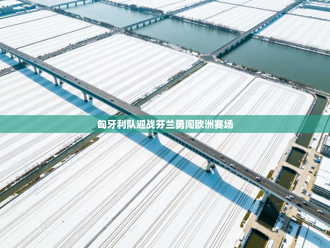 匈牙利队迎战芬兰勇闯欧洲赛场