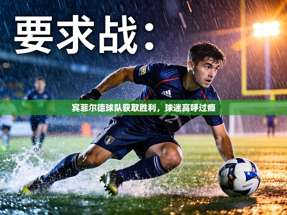 宾菲尔德球队获取胜利，球迷高呼过瘾  第2张